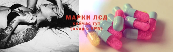 дживик Аркадак