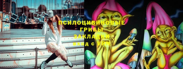 дживик Аркадак