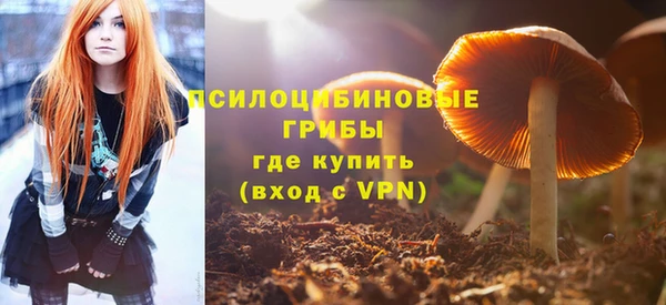 бутират Богданович