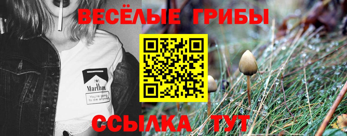 магазин продажи   Галлюциногенные грибы MAGIC MUSHROOMS  Галлюциногенные грибы GOLDEN TEACHER  Вход с VPN  Краснотурьинск 